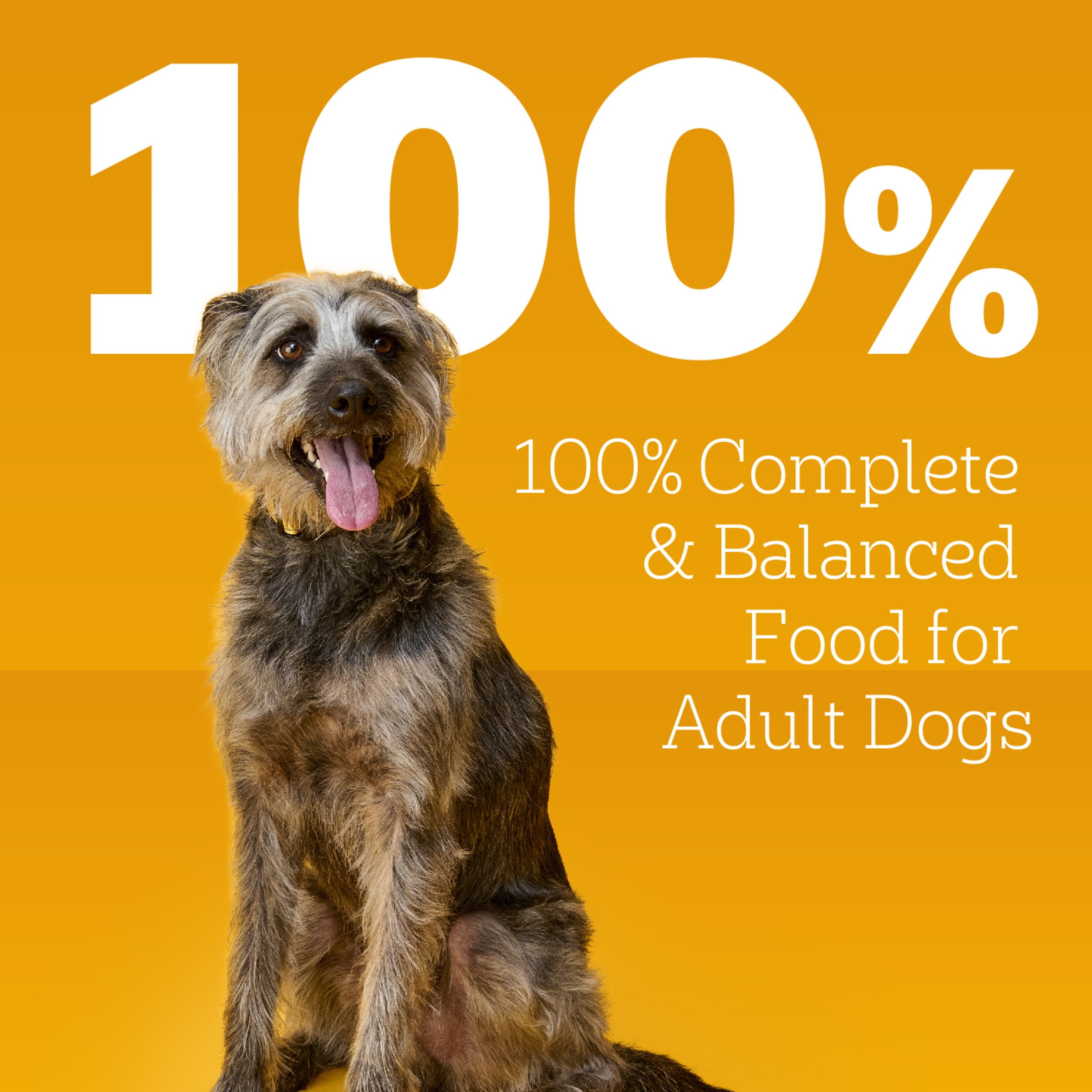 Pedigree ideal como topping para croquetas