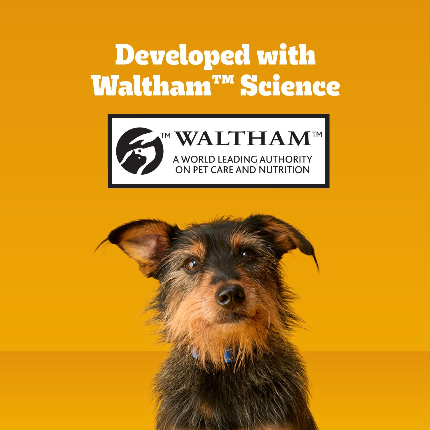 Pedigree Mini Jumbone, desarrollado con la ciencia de Waltham.