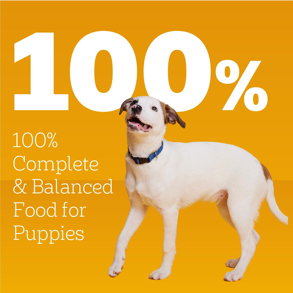 Comida completa para cachorros Pedigree con DHA para desarrollo general