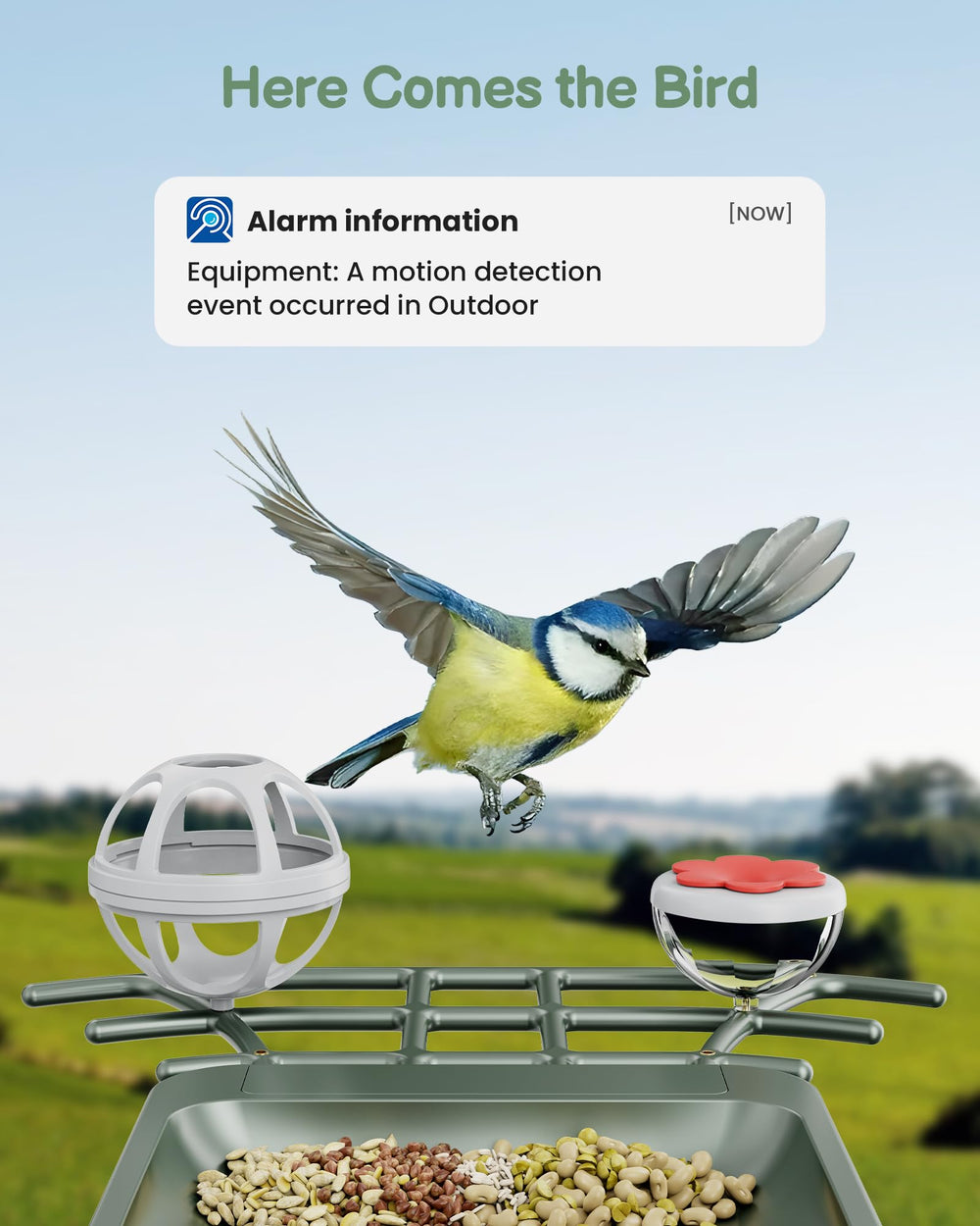 Peeipm alimentador inteligente con cámara 2K para observar aves en detalle.