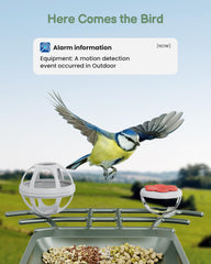 Peeipm alimentador inteligente con cámara 2K para observar aves en detalle.