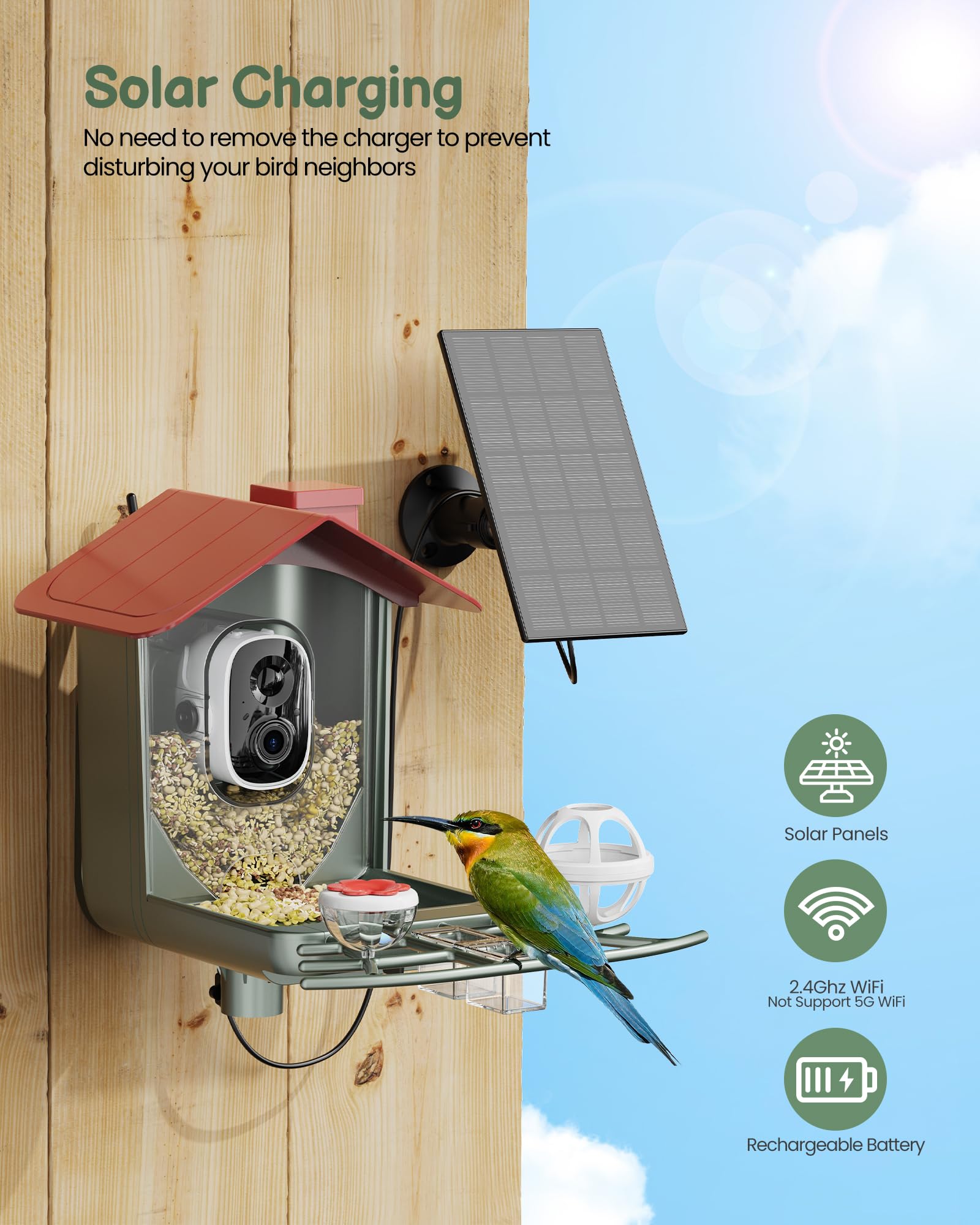 Peeipm cámara 2K para observar aves en el jardín con gran detalle.