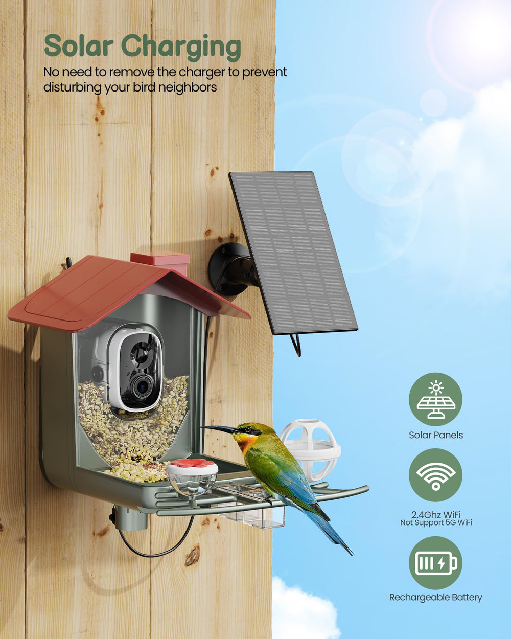 Peeipm cámara 2K para observar aves en el jardín con gran detalle.