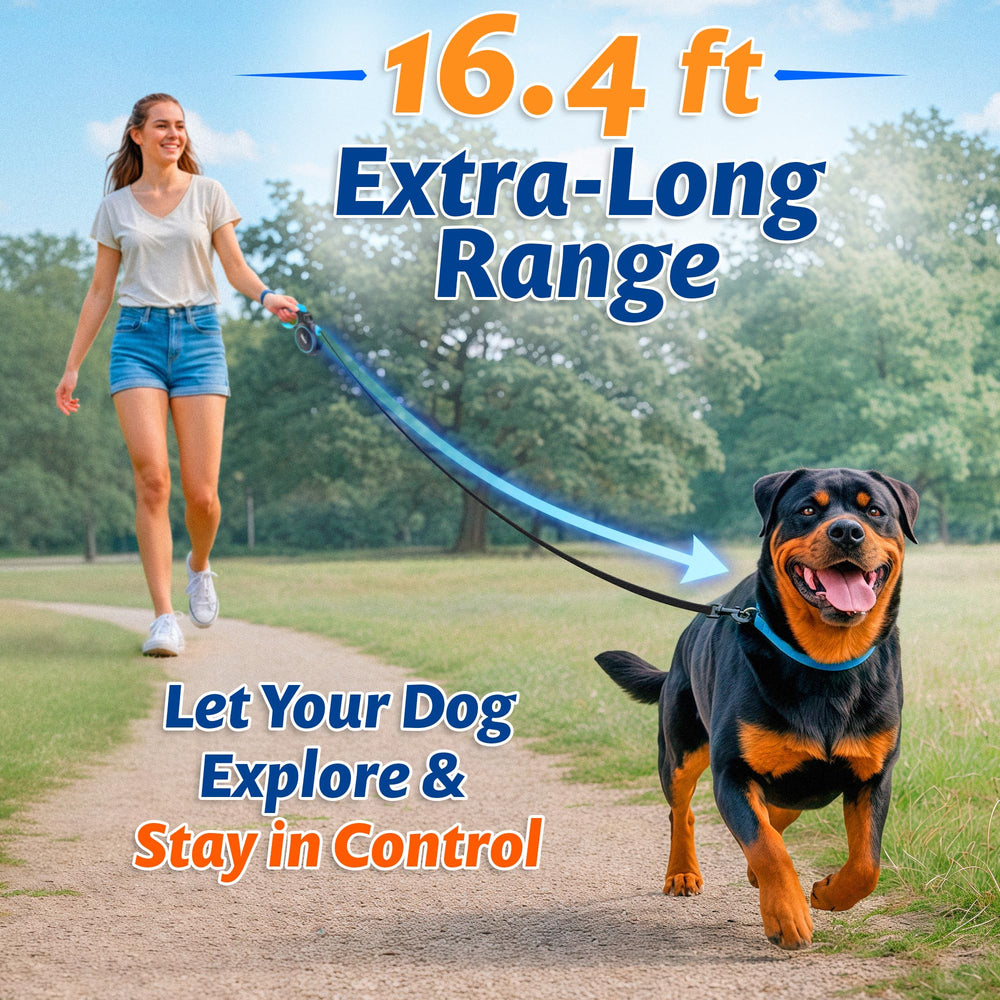 Peflex con cinta de nylon resistente para perros grandes.