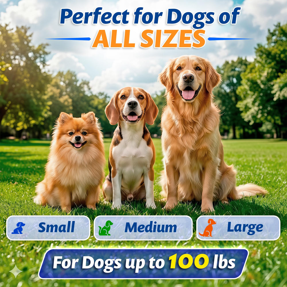 Ideal para paseos diarios, entrenamiento y salidas al aire libre.