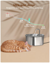 PEKTACO capacidad de 3,2 L ideal para varias mascotas.