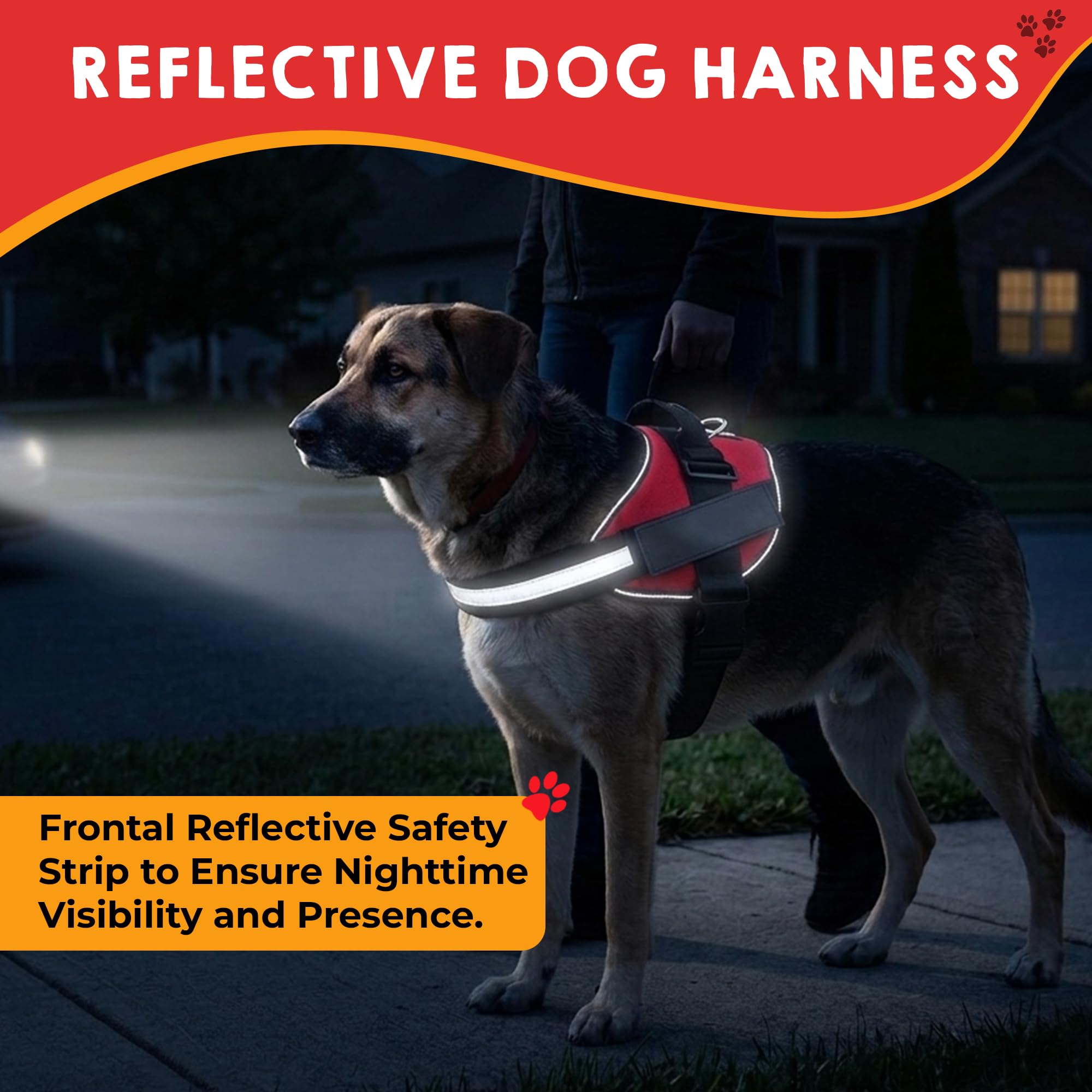 Asa ergonómica de Pelto para guiar al perro con confianza