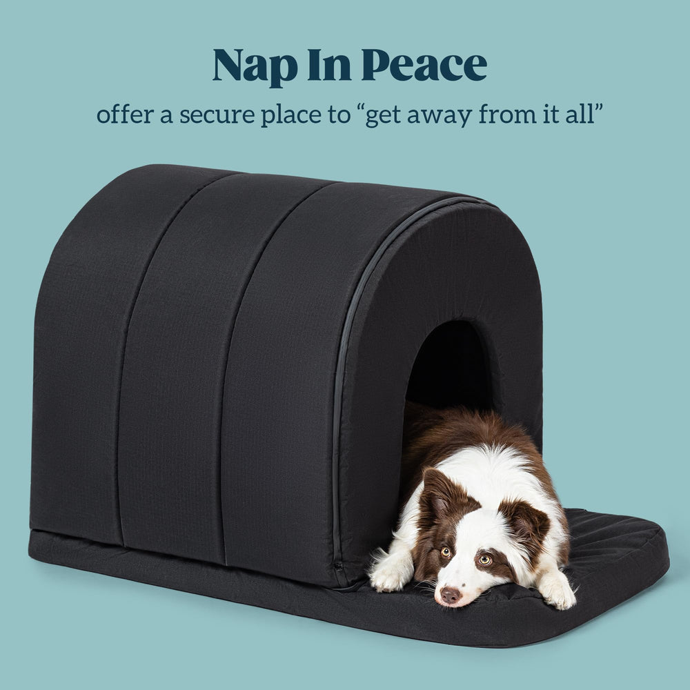 PELZIN casa perro espuma ortopedica en relieve para mayor confort.