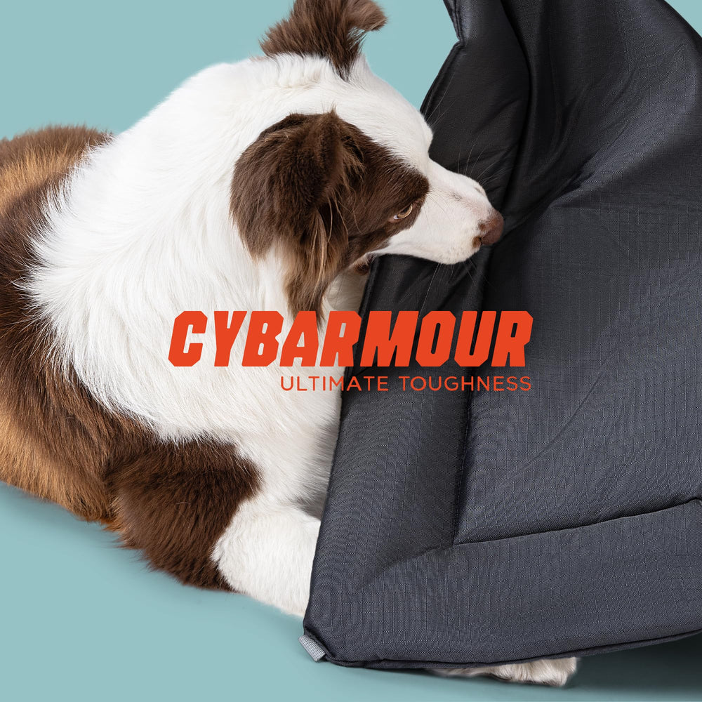 Pelzin Cybarmour, tela resistente con costuras reforzadas para perros activos