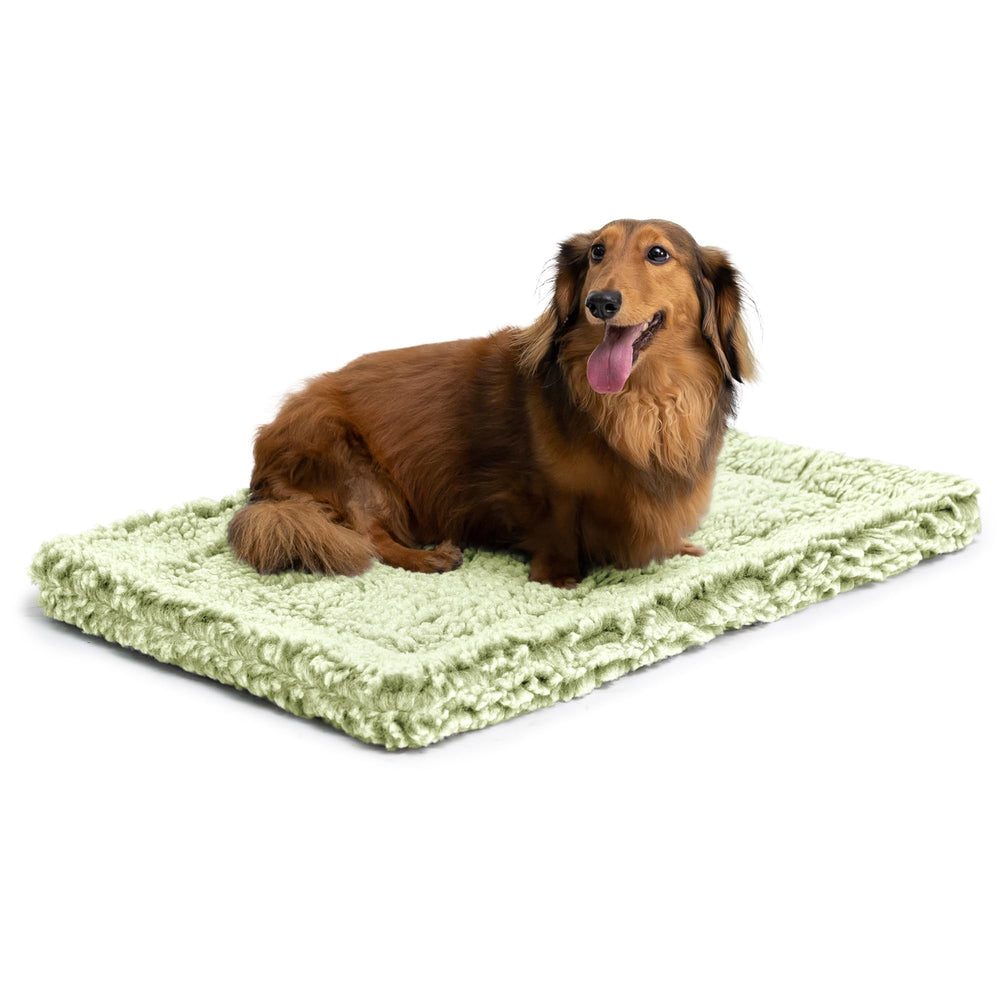 Pelzin Stoutwool Cama Indestructible para Jaula ofrece durabilidad en uso diario.