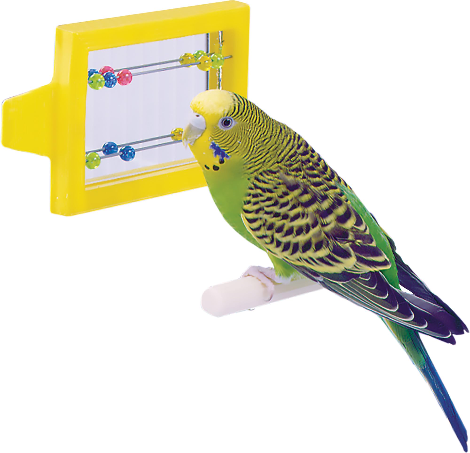 Penn-Plax Bird Life, colores vibrantes que llaman la atención de las aves.