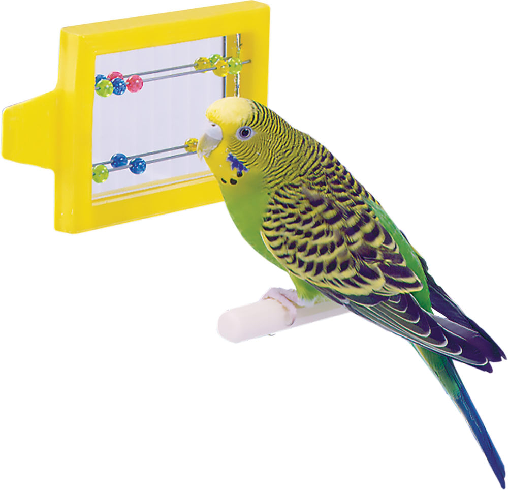 Penn-Plax Bird Life, colores vibrantes que llaman la atención de las aves.