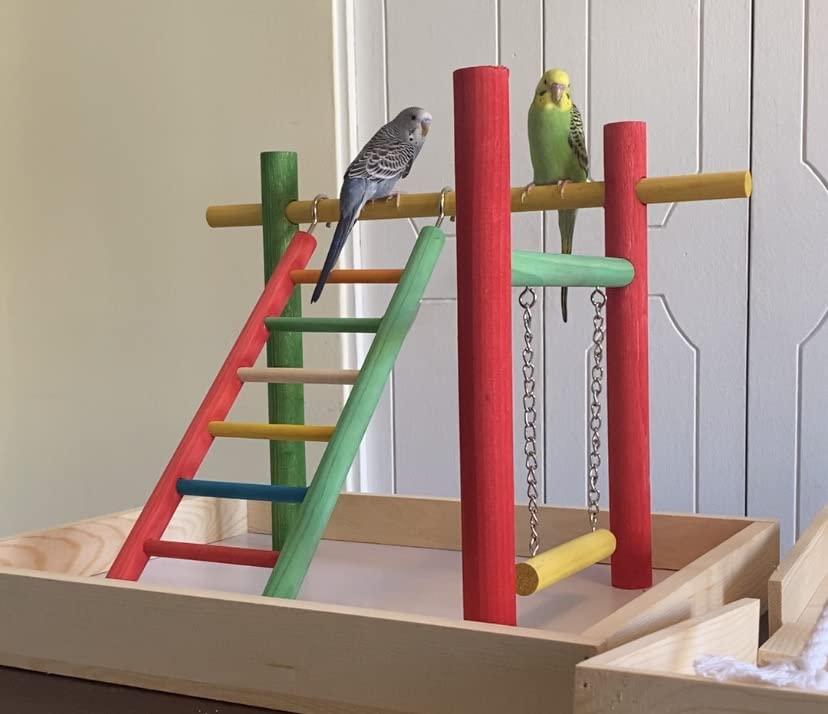 Penn-Plax Bird Life Playpen diseño plegable para transporte y almacenamiento.