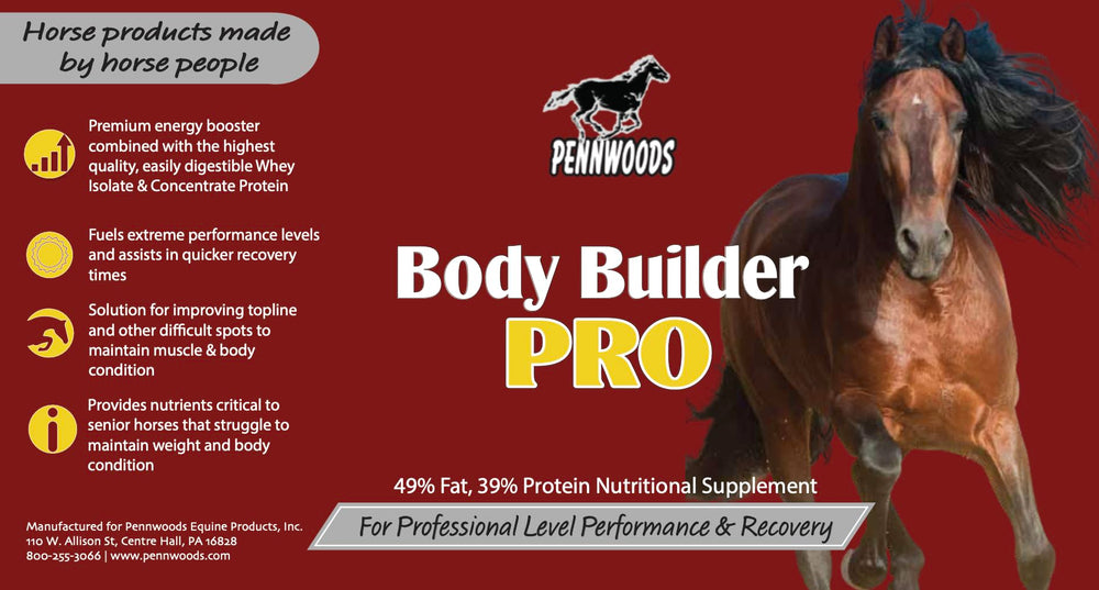 Pennwoods Body Builder Pro proteina-grasa-alta, energía para caballos