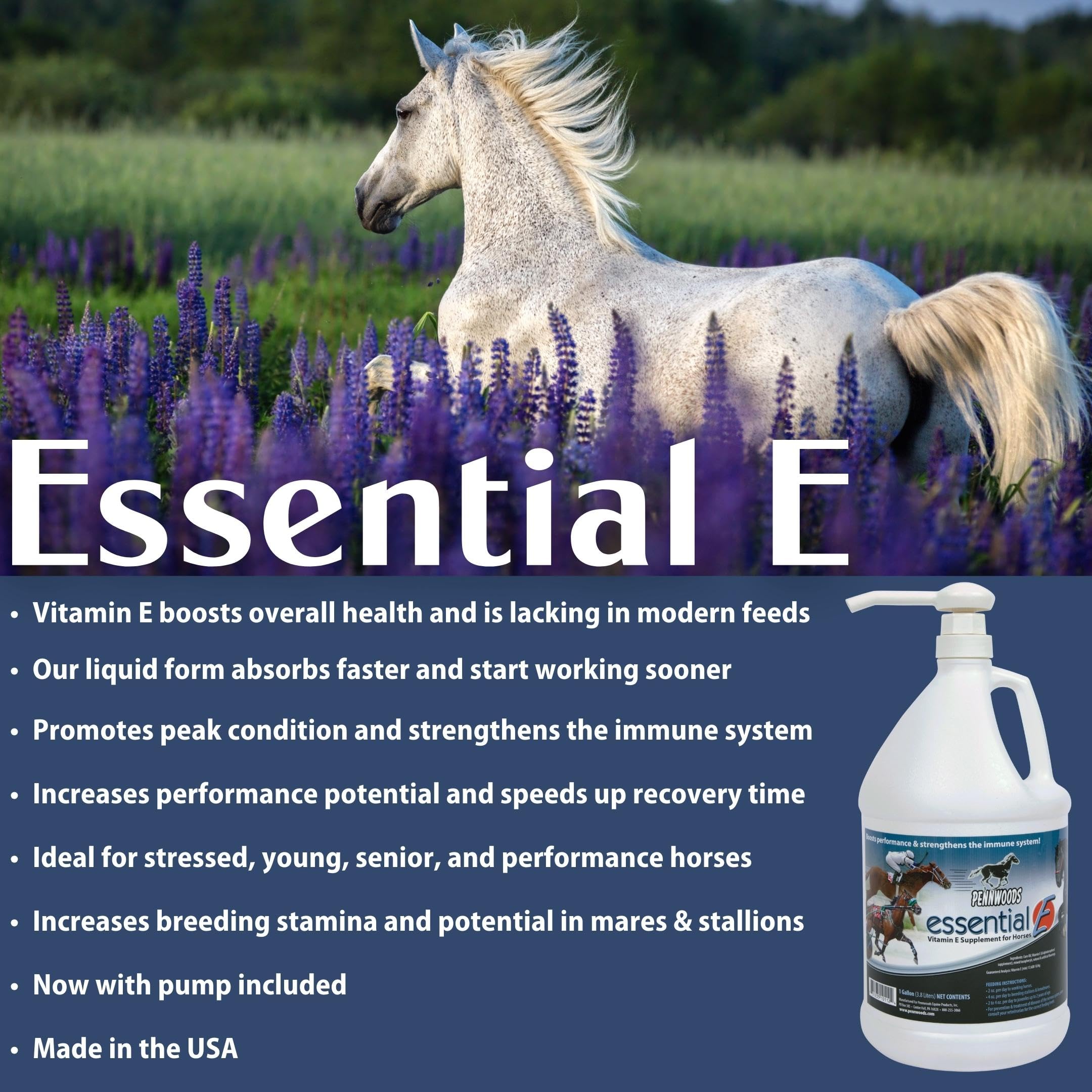 Pennwoods Essential E, mejora posible de inmunidad y bienestar general del caballo.