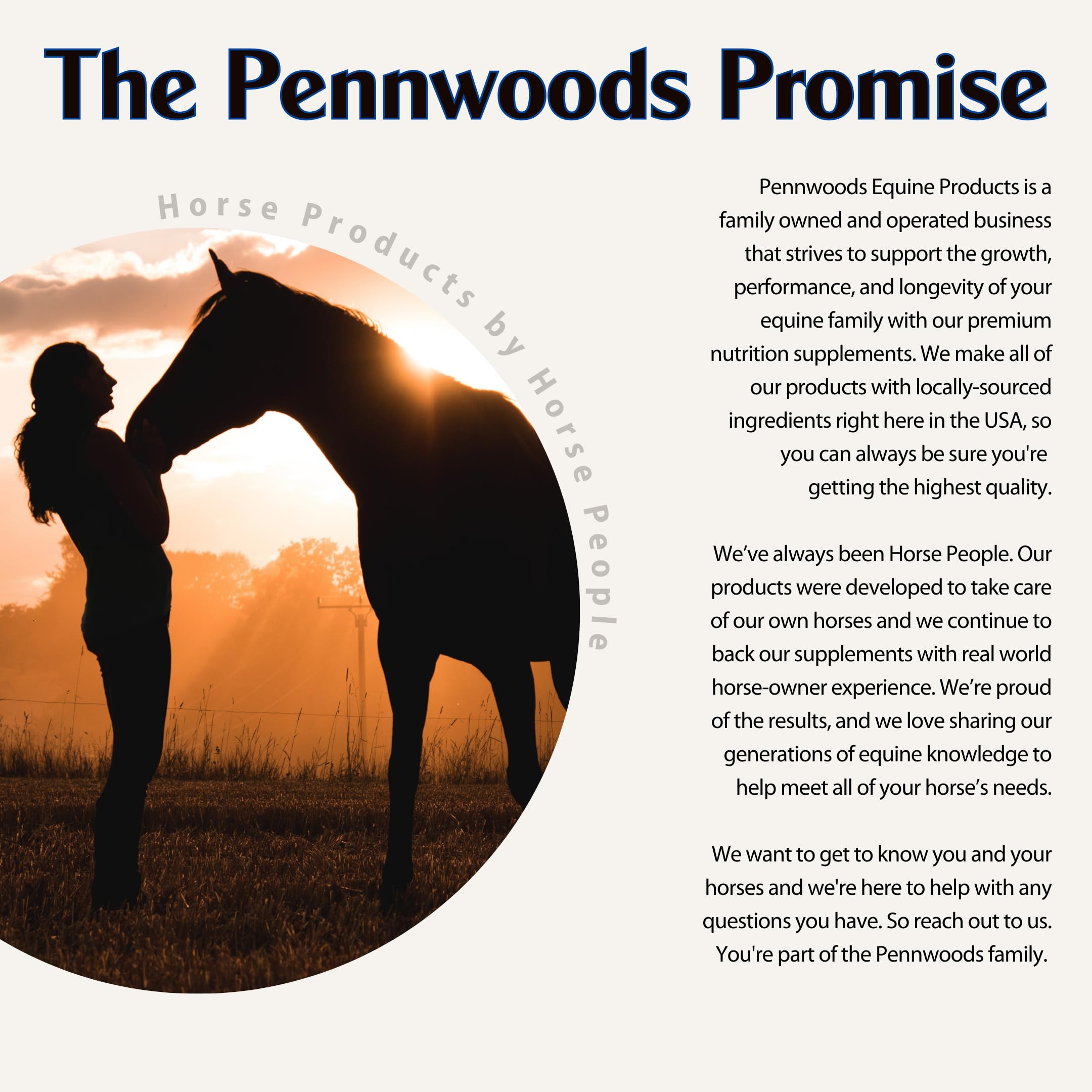 Caballo tranquilo tras la administración diaria de Pennwoods GI Renew.