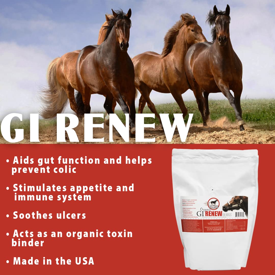 Etiqueta clara de Pennwoods GI Renew muestra ingredientes clave para el caballo.