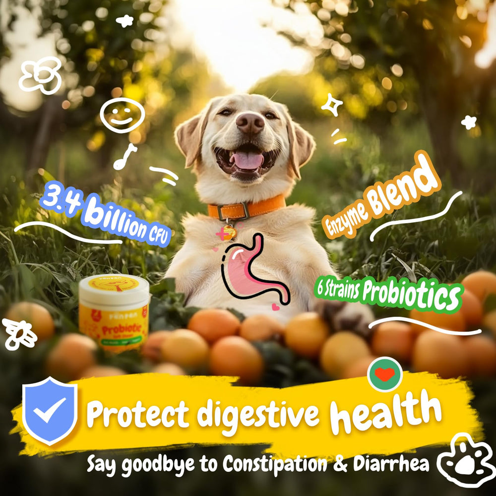 PENPEN Probióticos para perros: perro disfrutando, premio saludable para la digestión.