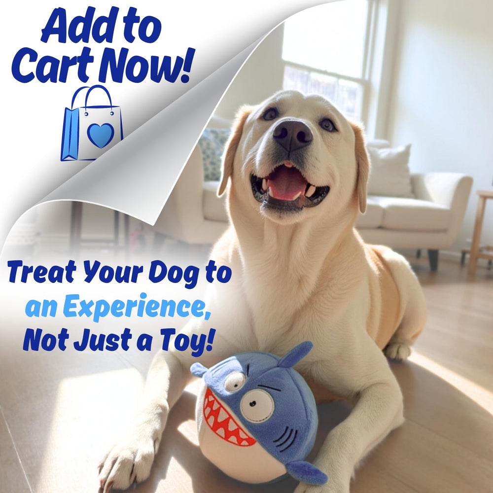 Sharky caja regalo ideal para sorprender a tu perro.