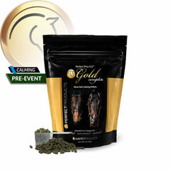 Caballo recibiendo Perfect Prep EQ Gold Pellets durante el entrenamiento.