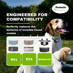 Batería Perimeter Technologies compatible con R21, R22, R51 y Microlite