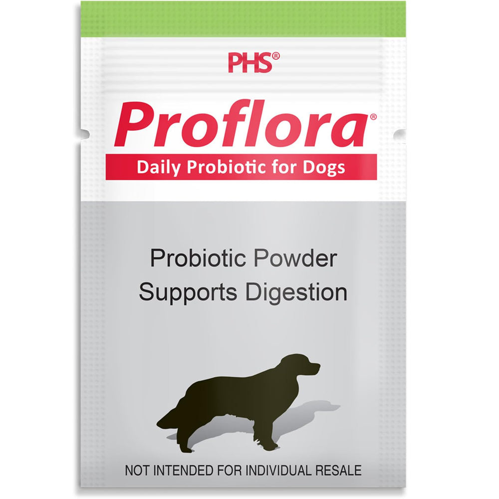 Perro comiendo con Proflora espolvoreado en su comida