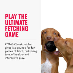 KONG Extremo bola negra en acción durante juego de fetch.