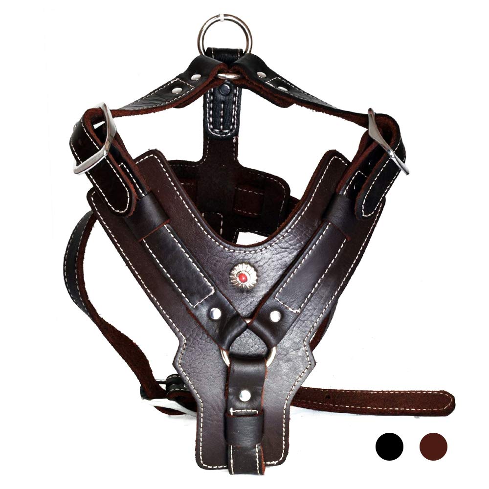 PESHOUCO arnés de cuero para perro con ajuste cómodo para paseos