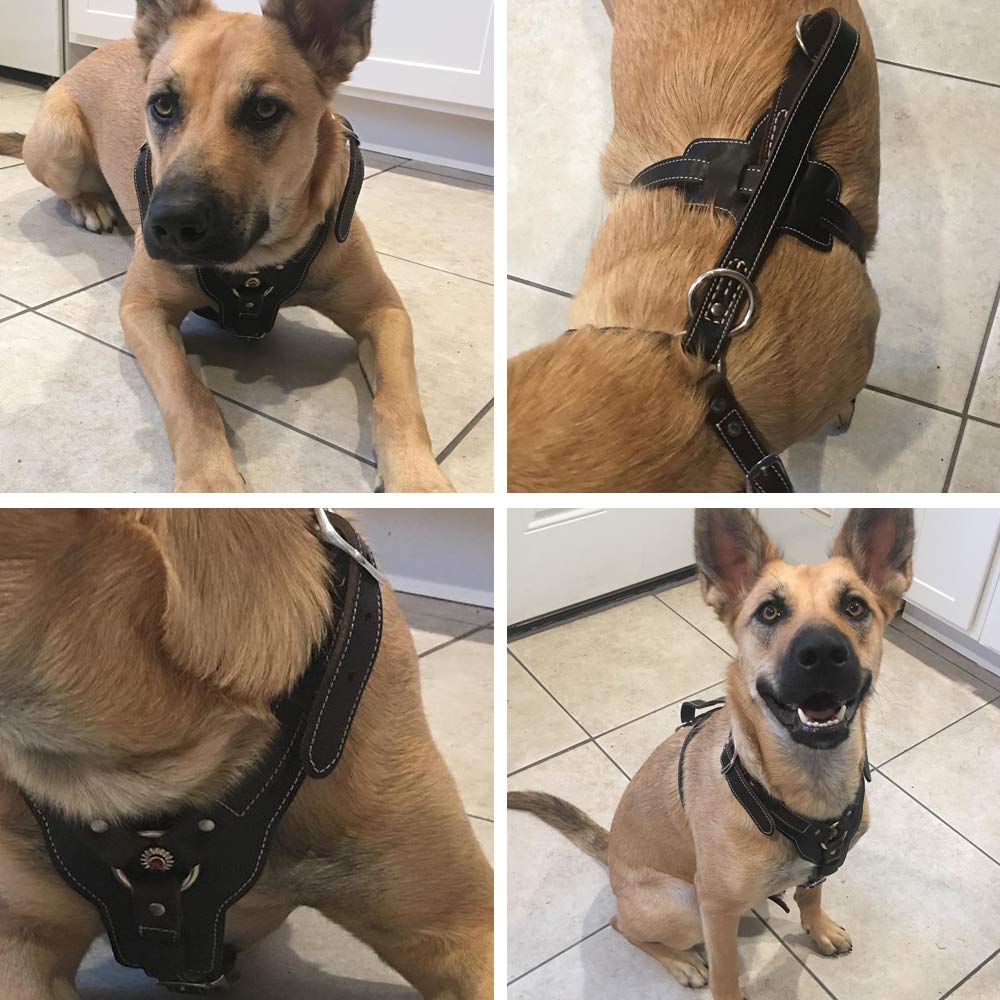 PESHOUCO diseño sin tirones para paseos más tranquilos
