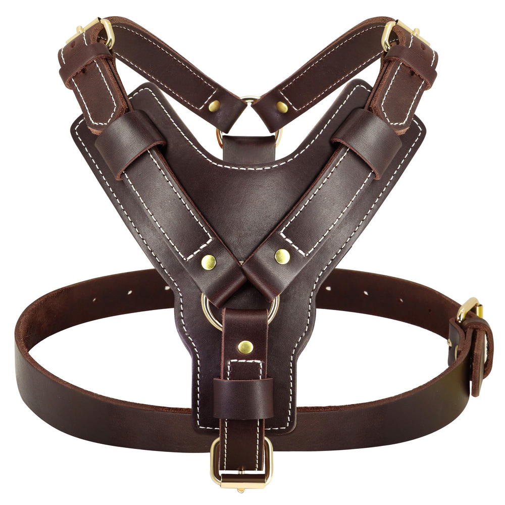 ARNES PET ARTIST para doberman con diseño robusto.