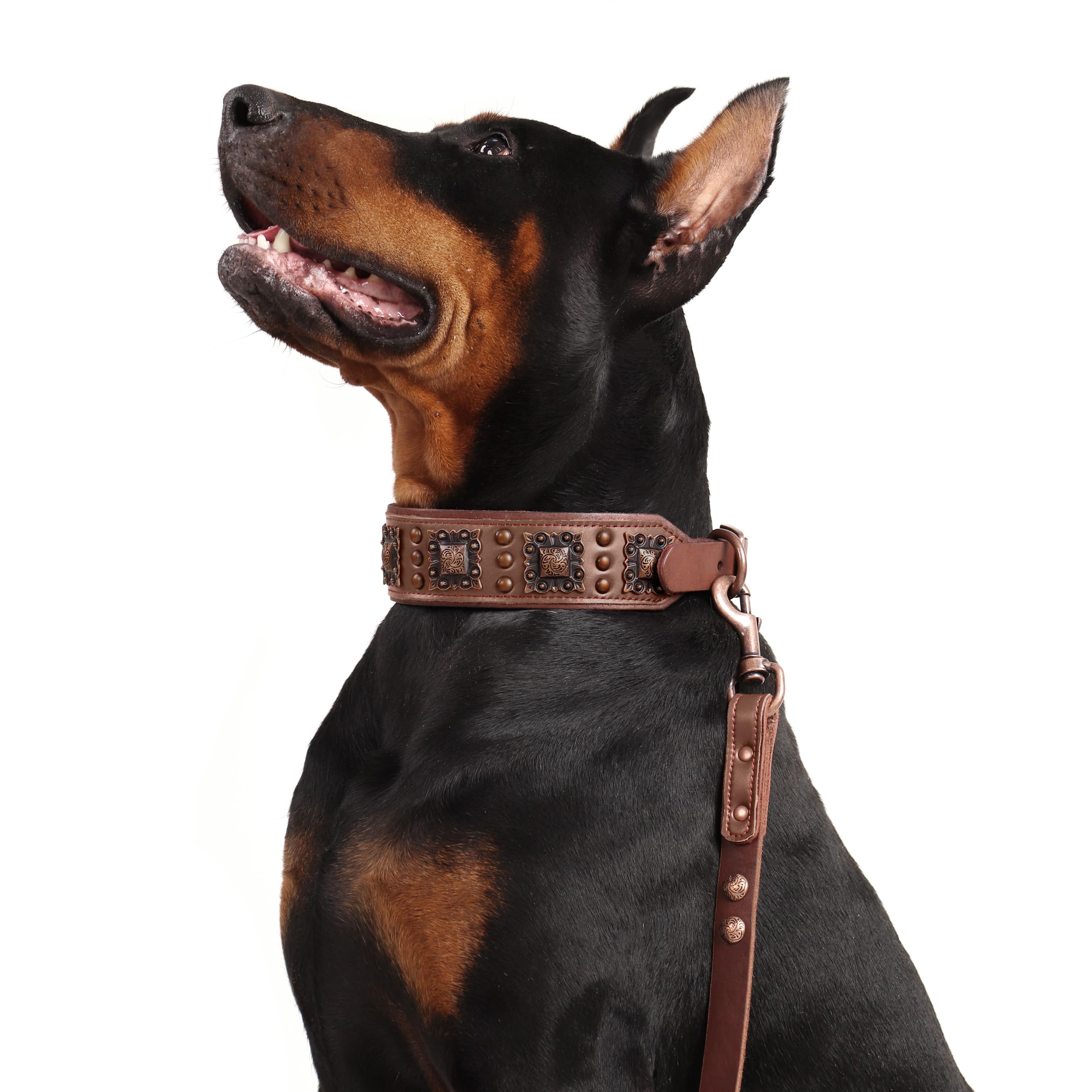PET ARTIST collar a juego; conjunto coordinado para paseos diarios.
