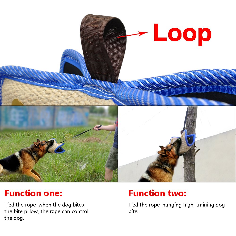 PET ARTIST diseño con bucle para ampliar las opciones de entrenamiento