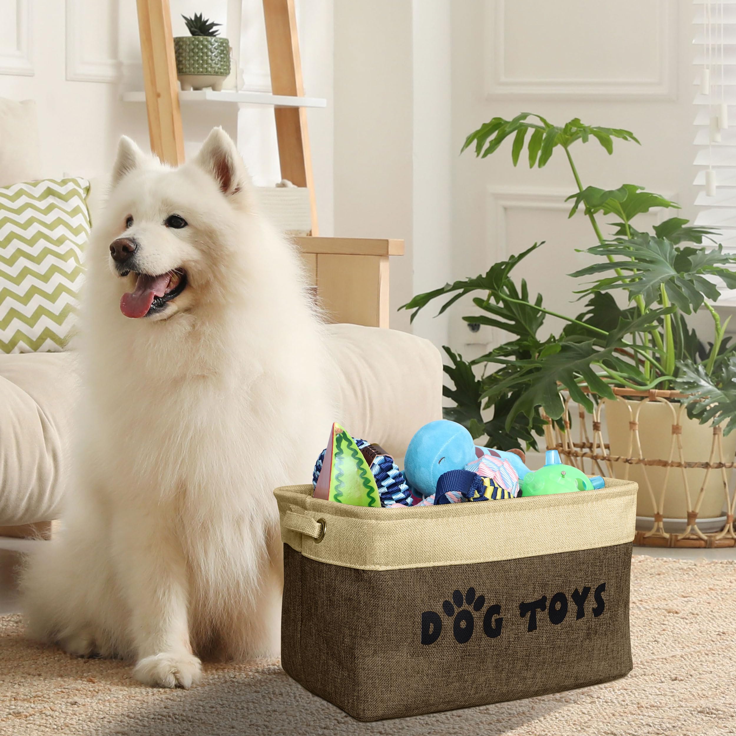 PET ARTIST Grand espace rangement pour accessoires chien.