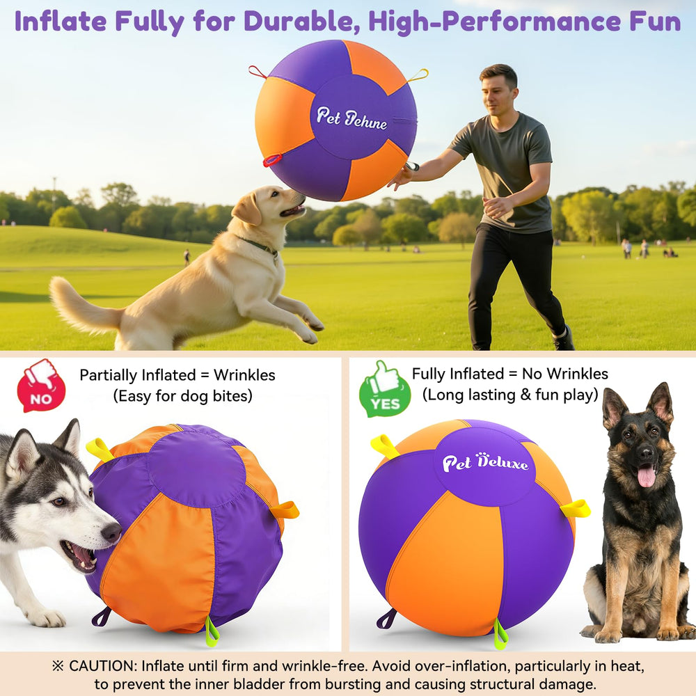 Pet Deluxe seis manijas de colores para agarre y lanzamiento