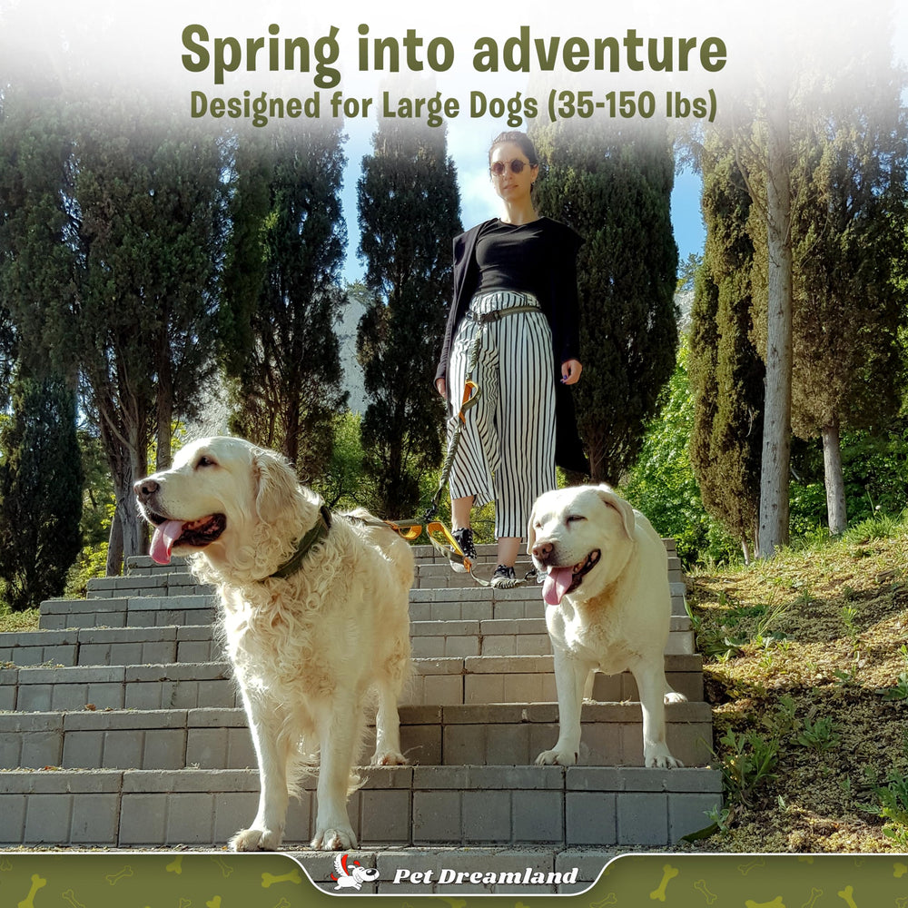 Pet Dreamland: cinturón cómodo para dos perros, caminatas más suaves.