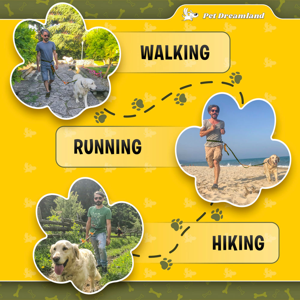 Pet Dreamland, cinturón cómodo que se adapta a largas caminatas.