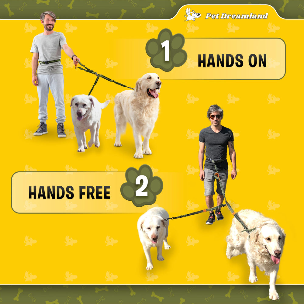 Pet Dreamland: entrenamiento de paseos con dos perros, mejor convivencia.