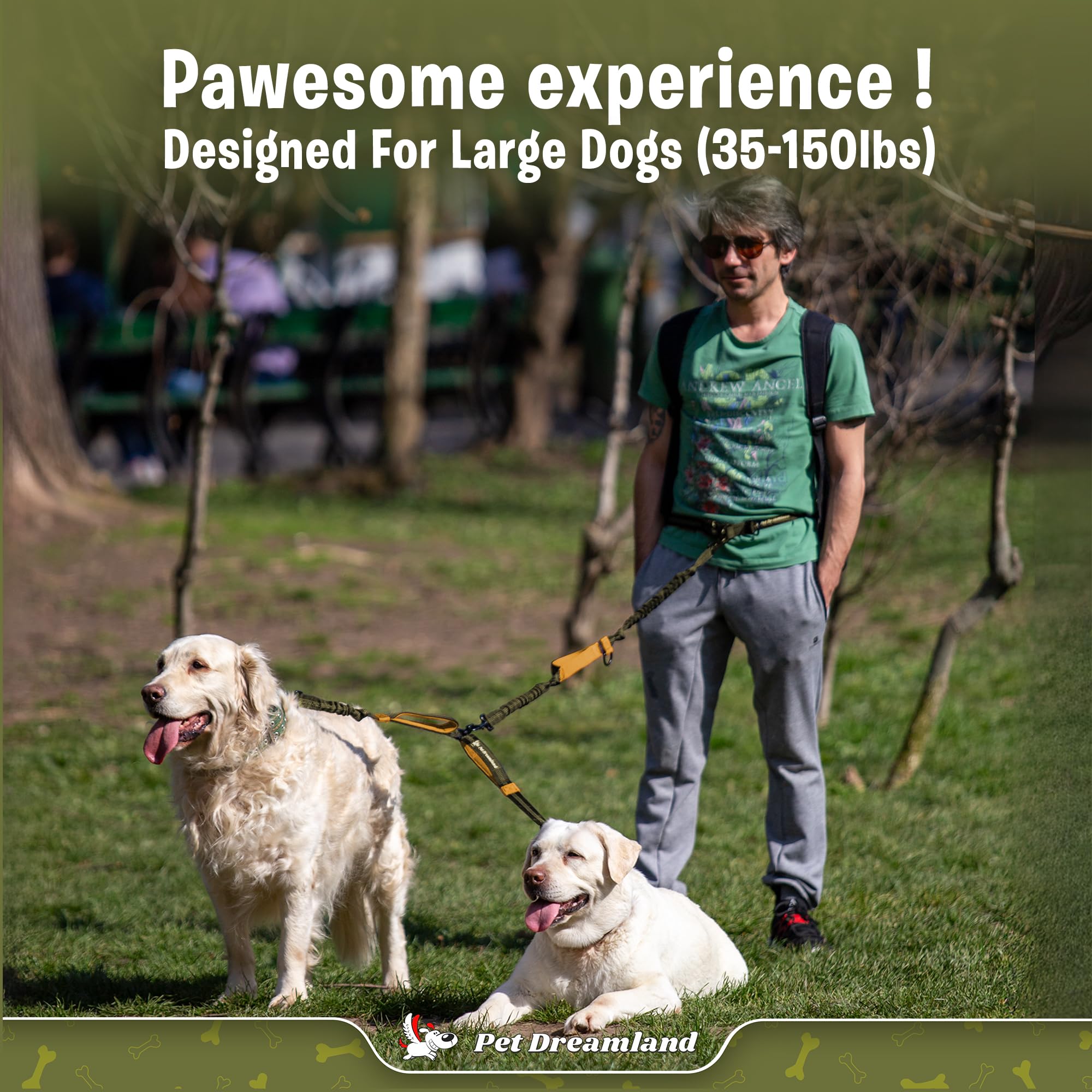 Pet Dreamland: paseo estable bajo lluvia y sol.