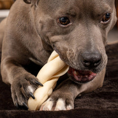 CareChewz de Pet Factory, hecho en EE. UU., procesamiento seguro y control de calidad