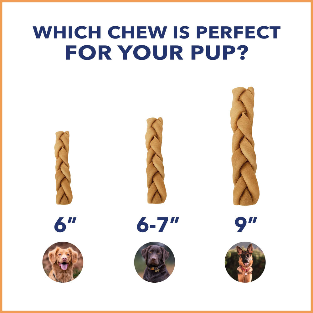Textura duradera de CareChewz para perros activos