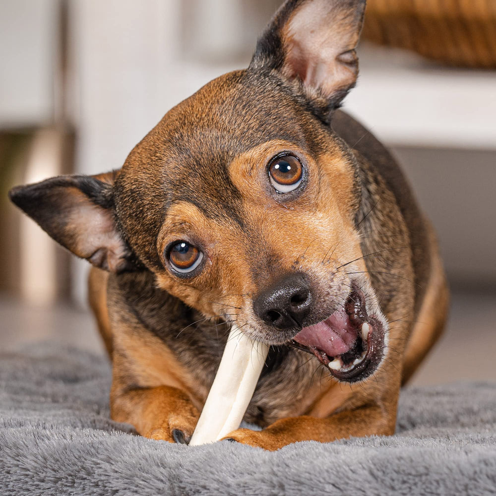 Pet Factory mini-rollos beefhide en empaque natural, buen sabor para perros.