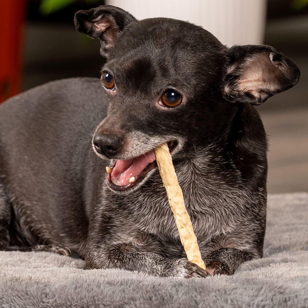 Rollos de beefhide de Pet Factory sabor natural para perros pequeños.