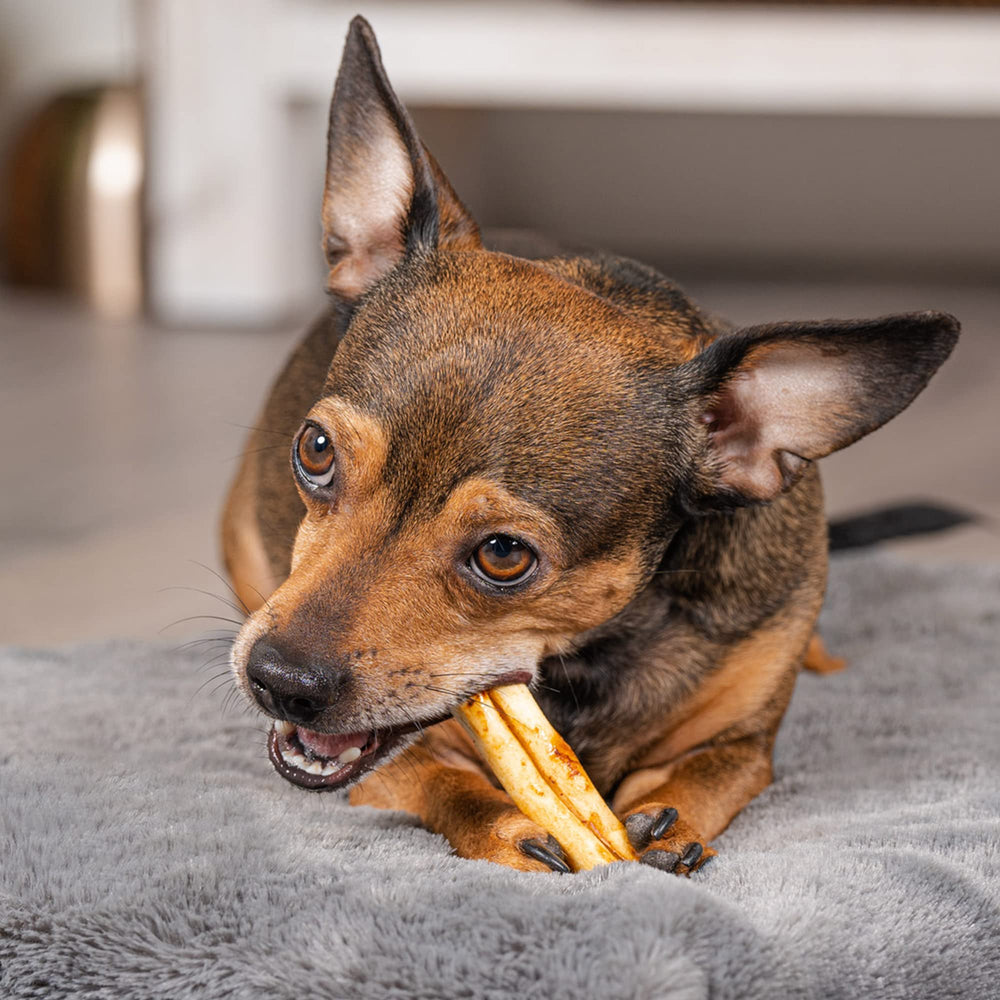 Pet Factory rollos mini con sabor a pollo, promueven masticación prolongada para perros activos