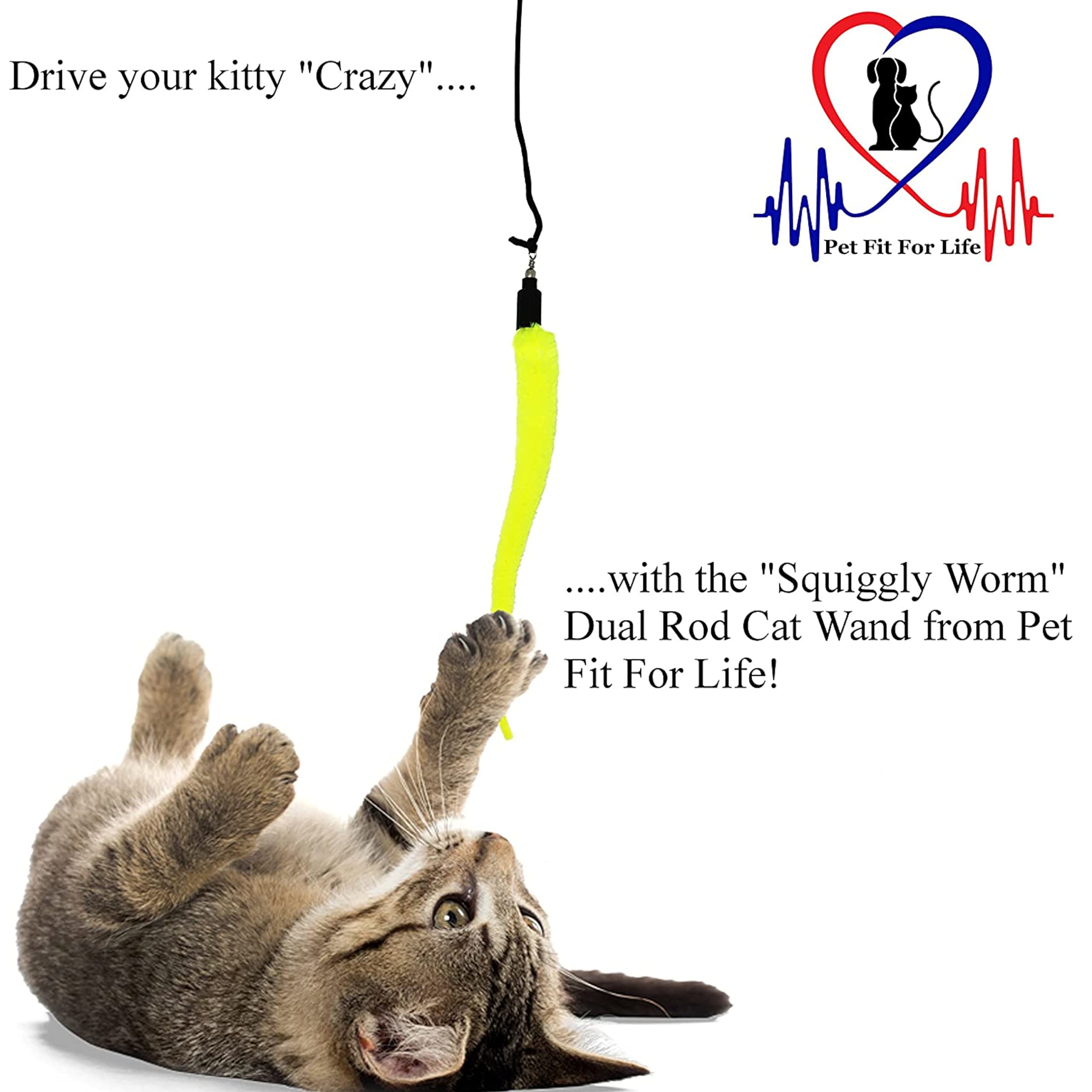 Pet Fit For Life gusano senuelo retratil impulsa juego interactivo y ejercicio