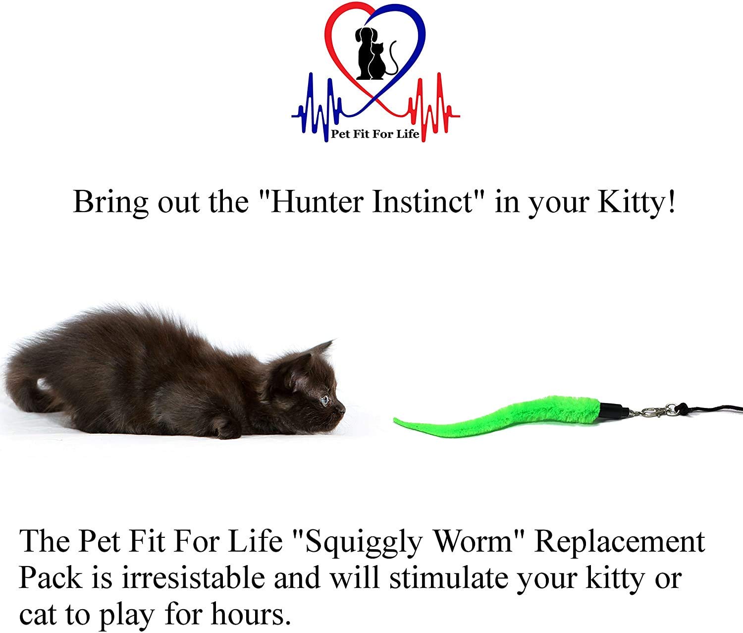 Pet Fit For Life juego interactivo en interiores para gatos curiosos
