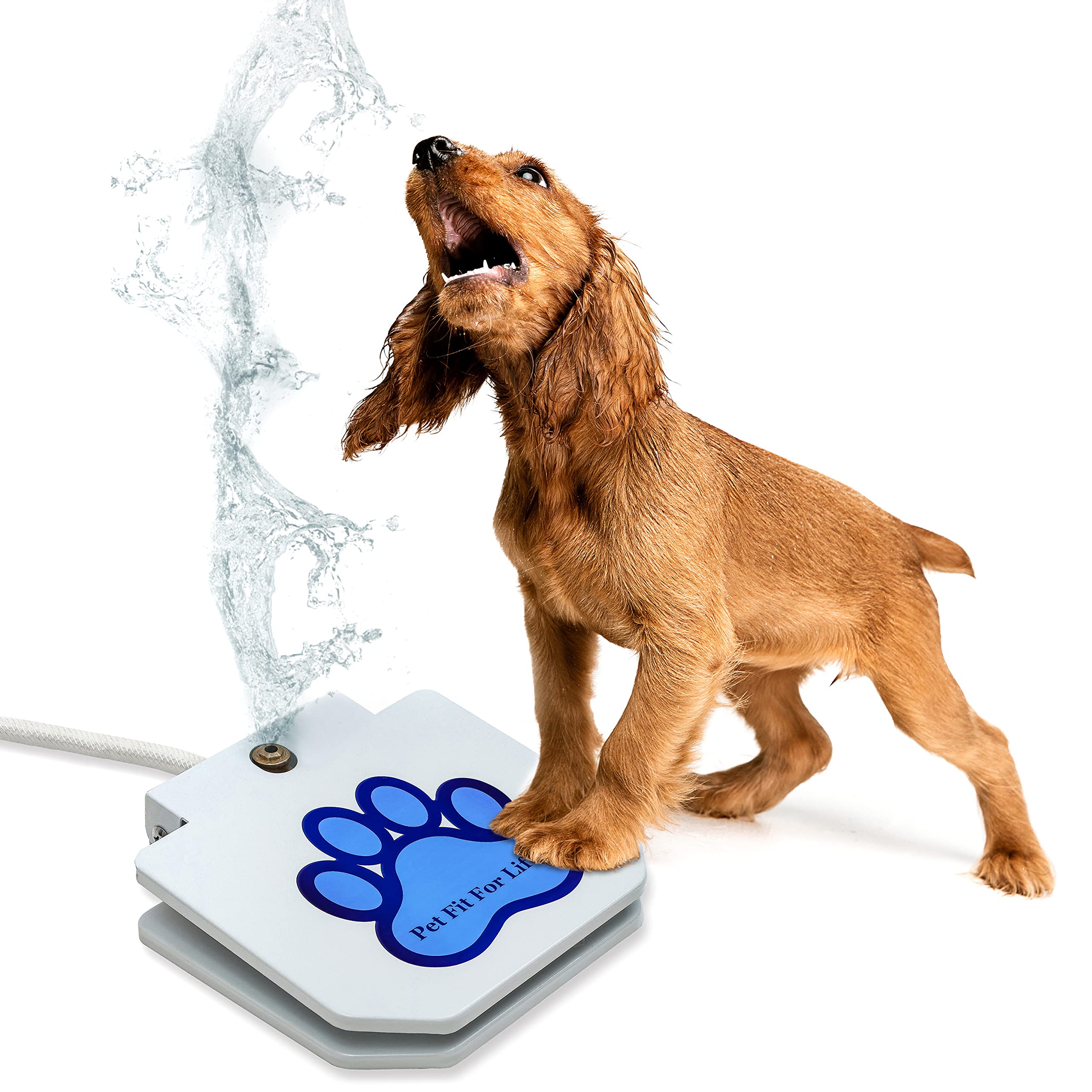 Juguete-manguera de Pet Fit For Life para perro, juego y agua simultáneos.