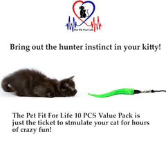 Pet Fit For Life plumas de pavo real para juego visual y movimiento atractivos.