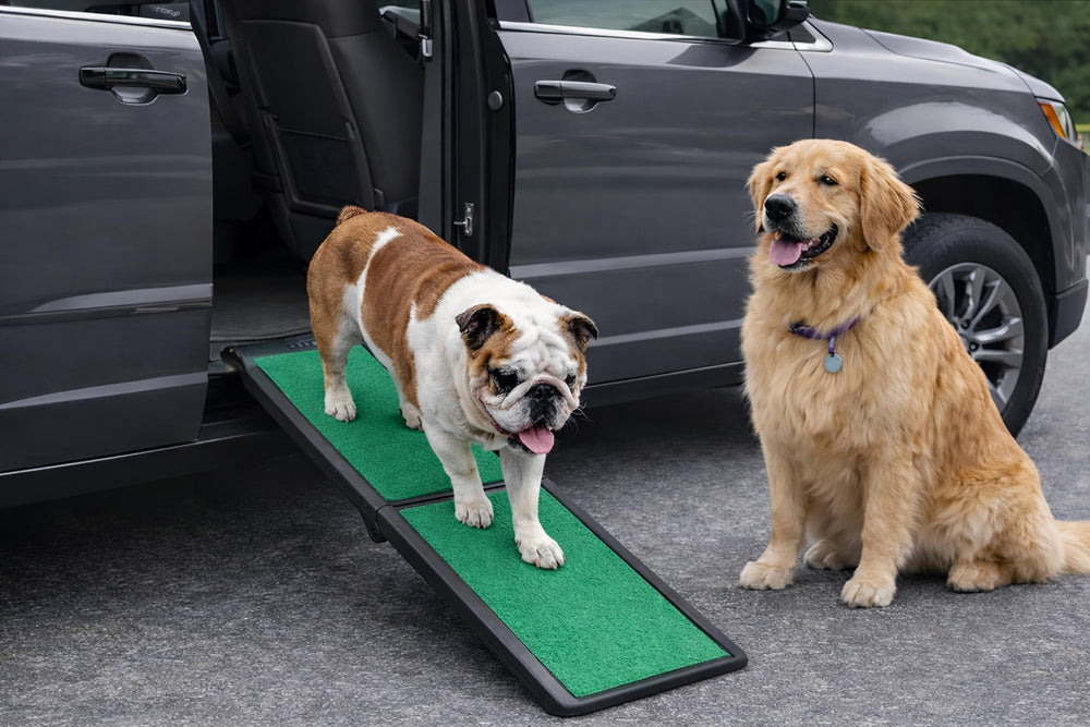 Pet Gear SupertraX rampa verde con adherencia para subir al coche.