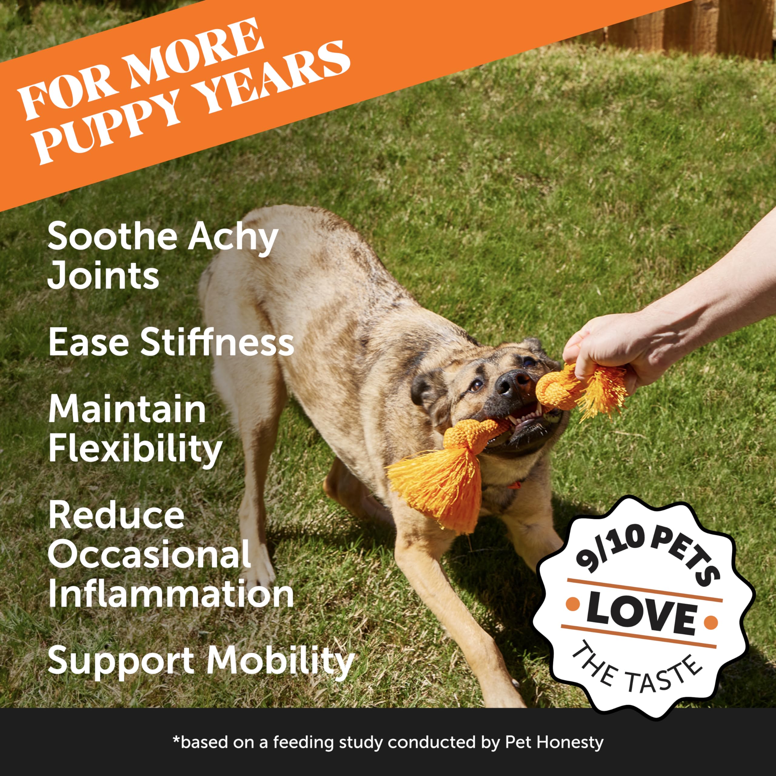 Pet Honesty aceite de cáñamo para perro, suplemento natural para movilidad