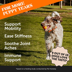 Pet Honesty aceite-pescado-omega3: piel sana y pelaje brillante
